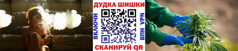 Бошки Шишки SATIVA & INDICA  Купить закладки  Белый 